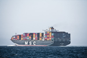 MSC BUQUE